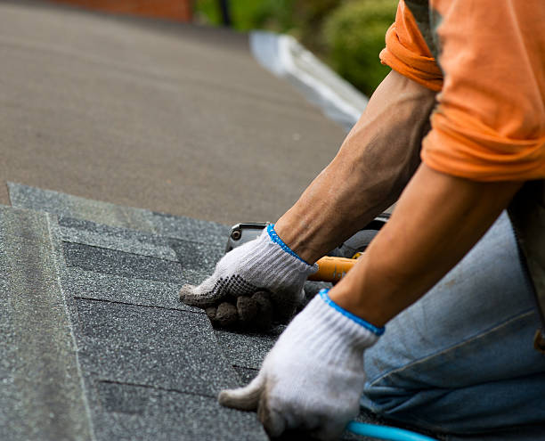 Best Roof Repair Services  in Carbonville, UT